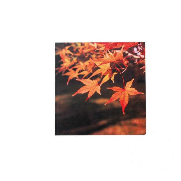 Ζ~ 0.5 p ԍgth a Wabisabii3-043-04) Lb`A䏊pi