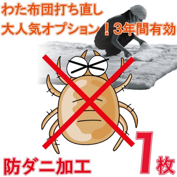 大人気オプション！3年間持続 防ダニ加工！※単品でのご注文は承れません。※防ダニ加工希望商品１枚に付き１つご注文してください。※後から追加もできます。メール又はフリーダイヤル0120-71-5657までご連絡ください。