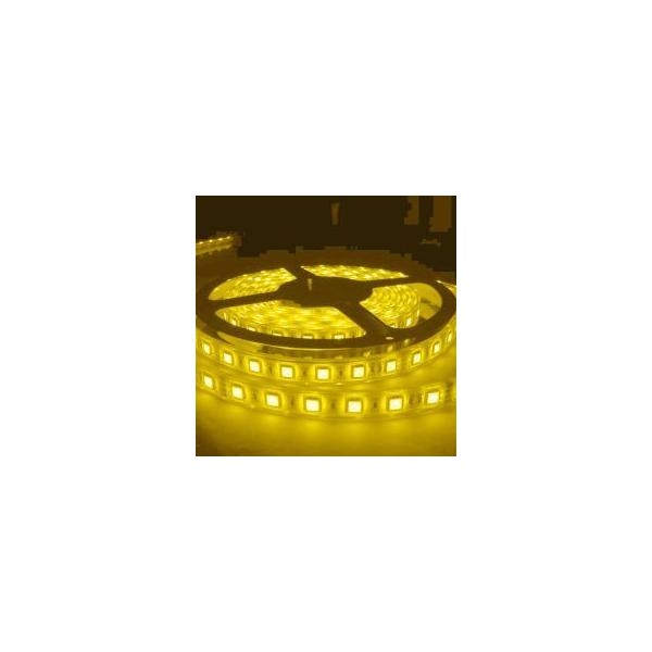 LEDe[vCg 5050^`bv CG 5M/300 IP68h COSMONE