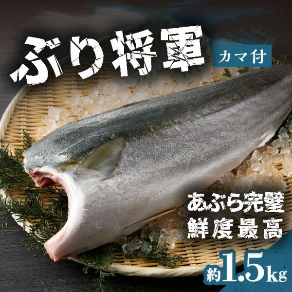 チルド、冷蔵でお届け。お刺身で食べてみてください。リピ確実。ぶりは、最高に使い勝手が良くてブリ大根、カマの塩焼き、ブリしゃぶ等々絶対のお買い得。弊社は、水産加工販売会社です。通常の流通　弊社→市場→仲買→スーパー→ご家庭今回の場合　弊社→ご...