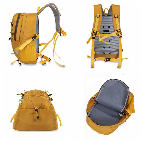 costumehouse_bb5559_2_d_20260116203700