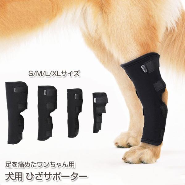 大切な愛犬のための膝サポーター。捻挫や筋損傷時のサポート、怪我や捻挫・関節炎の予防にも効果的です。4サイズからお選びいただけます◎・素材：ネオプレーン・サイズ(単位cm)： S：下幅8.6/上幅12.2/高さ15.2M：下幅11/上幅14....