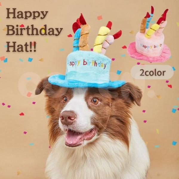 愛犬・愛猫のバースデーに！！1年に一度の愛犬のお誕生日に♪記念撮影やパーティーにも！とても可愛いケーキ帽子で目立つこと間違いなし◎・サイズ(単位cm)：高さ18cm,横18cm,紐の長さ30cm・カラー：ブルー、ピンク※商品画像については、...