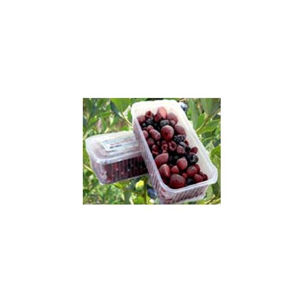 &lt;Ⓚ&gt;fX[ nx[~bNX 500g