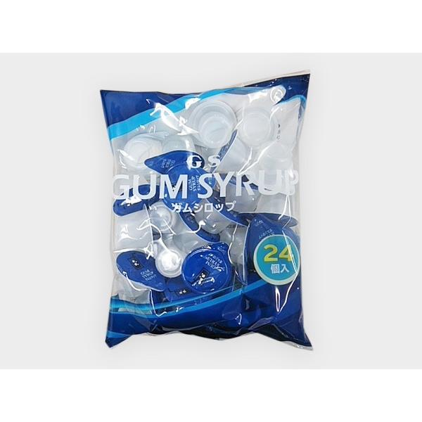 GS KVbv ~j (13g×24)