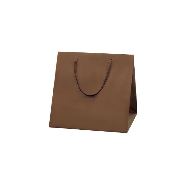 �u���C�g�o�b�O �`���R�u���E�� C-1