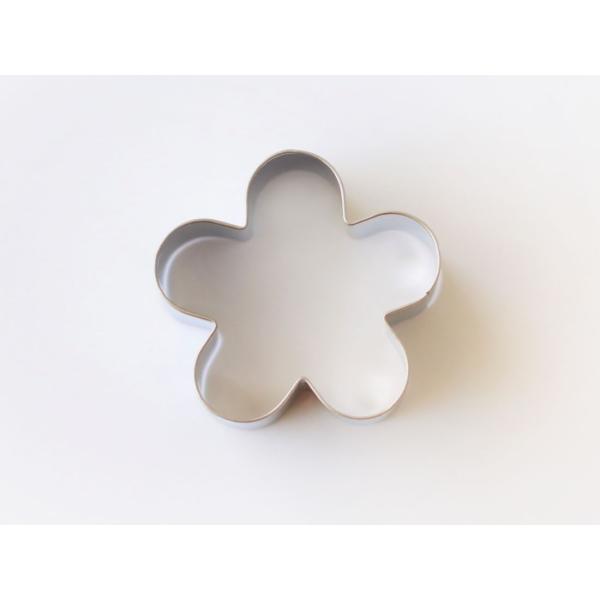 cotta �N�b�L�[�^ �t�����[