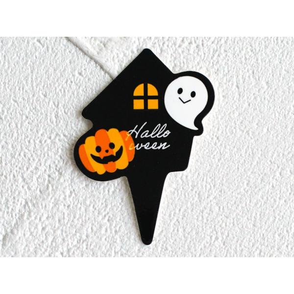 cotta �P�[�L�s�b�N �S�[�X�g�n�E�X(10��)