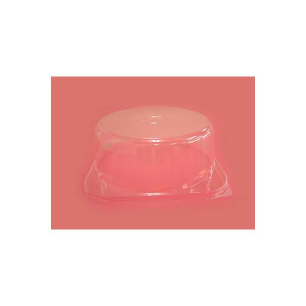 yʔ̔zGXRAP-e220 t^y1z