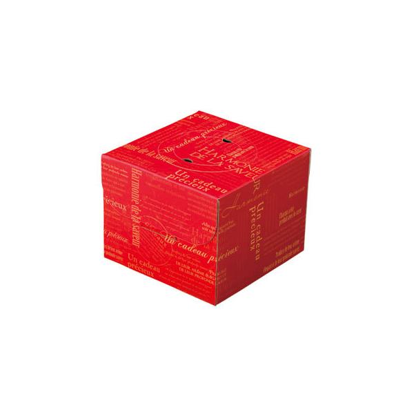 yʔ̔zfR ZeX 4(g[Ȃ)y1z