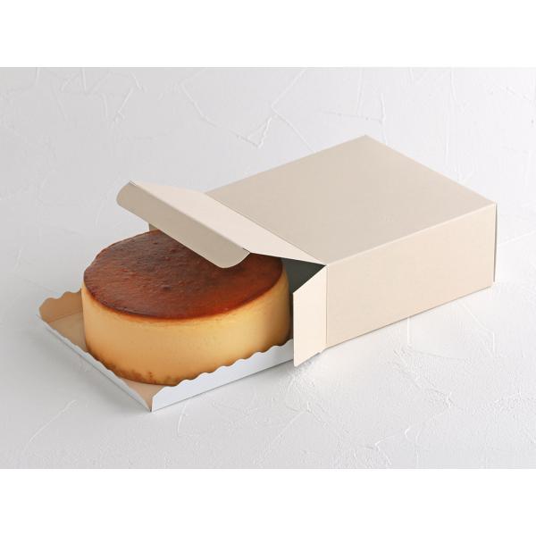 yʔ̔znGRXNGA@g[t@6ig[tjy1z