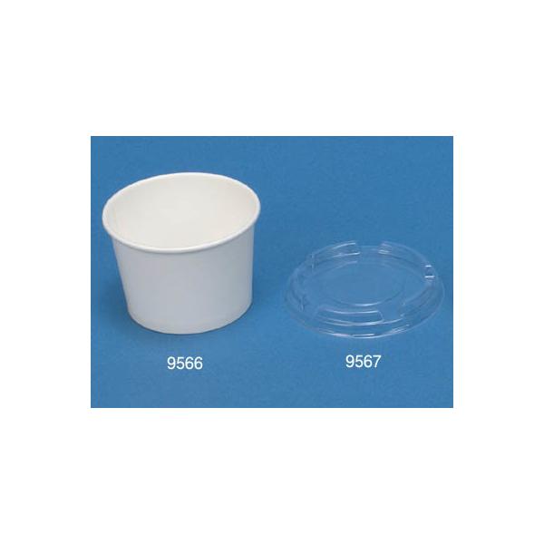 yʔ̔zACXN[ 4Xm[zCg ({̂̂)y5z