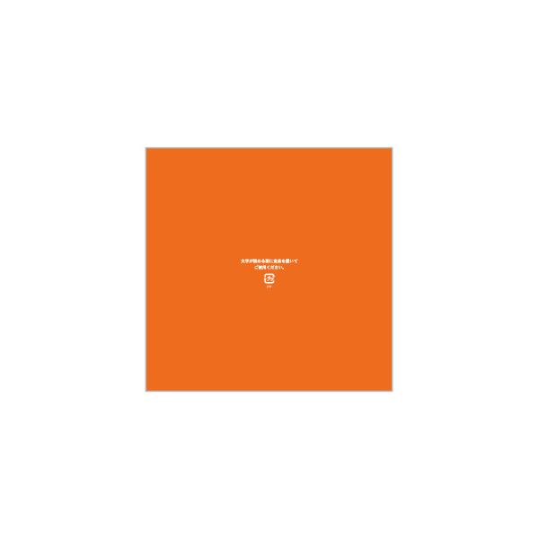 [P[X̔]eg[V[g 150pIW