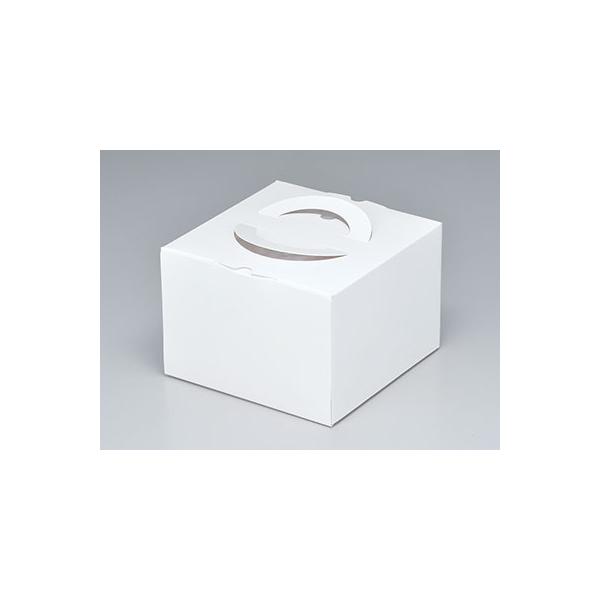 [P[X̔]o[Xf[fRHP130 6