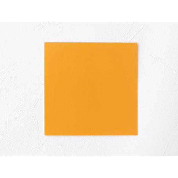 [P[X̔]V[g ԋlp^Cv 8080K