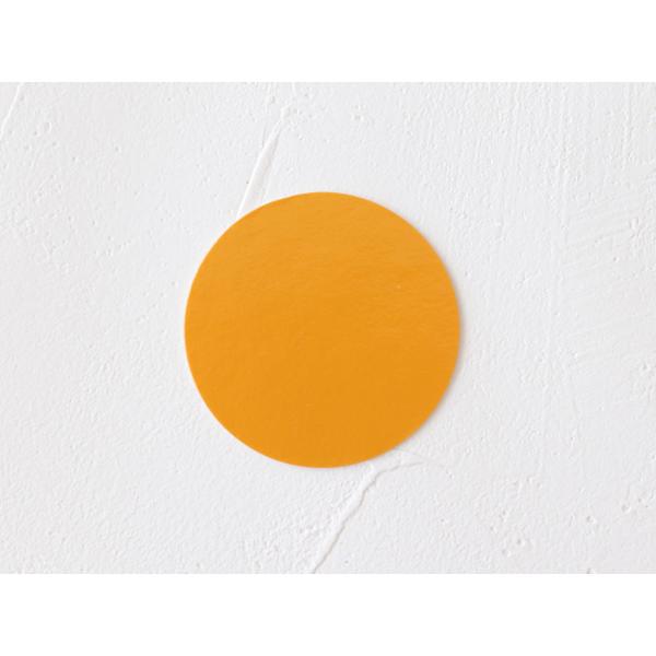 [P[X̔]V[g ԋی^^Cv 48a