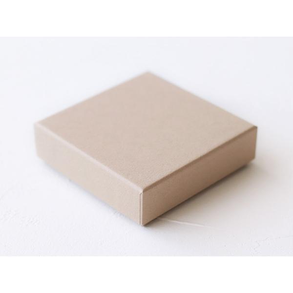 [�P�[�X�̔�]cotta �V���R���P�[�X 4�� RG