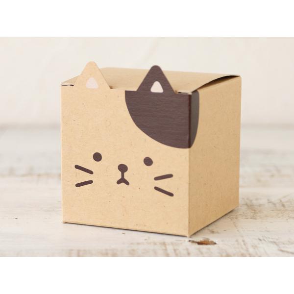 [P[X̔]cotta ǂԂMtg lR(Ntg)