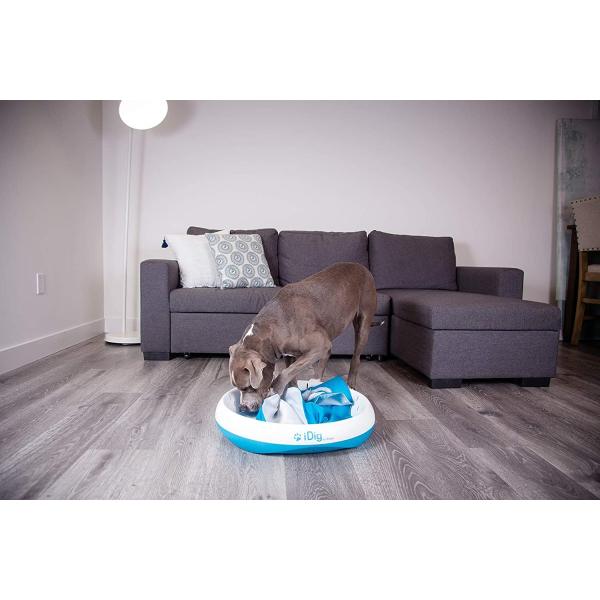 Ifetch アイフェッチ 犬用おもちゃ Idig Stay 犬 おもちゃ 掘る 探す 穴掘り ストレス解消 運動不足 知育トイ 餌マット Olhodaguadocasado Al Gov Br