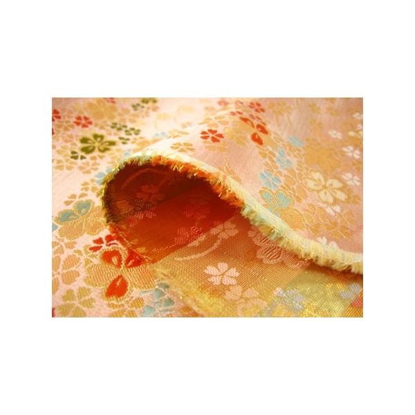 E n  z O Iłƍ sN a  ؂蔄 50cmȏ10cmP 70cm pp [2m܂ 