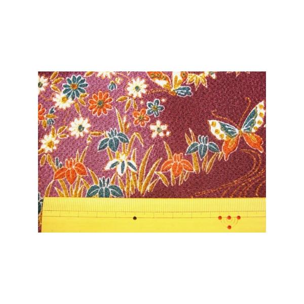 n ߂ a kɐn  ؂蔄 z ɋeƓmij[ 50cmȏ10cmP 70cm [2m܂  