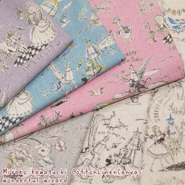 Miyako Kawaguchi ȖLoX Wonderful wizardiP50cmj
