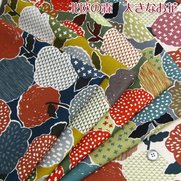 k̐X@傫Ȃԁ@IbNXiP50cmj