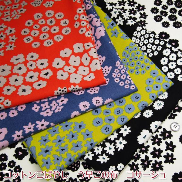 Rbg΂₵@̕z@RT[WiP50cmj