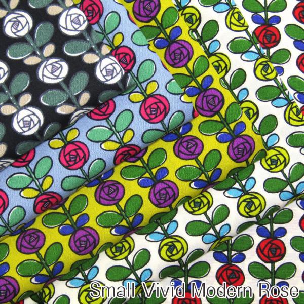 u[h Rbg΂₵@̕z@Small Vivid Modern RoseiP50cmj