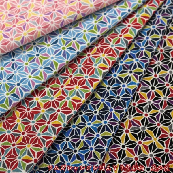 cMV^ ͂Ȃ蓤a ̗tiP50cmj