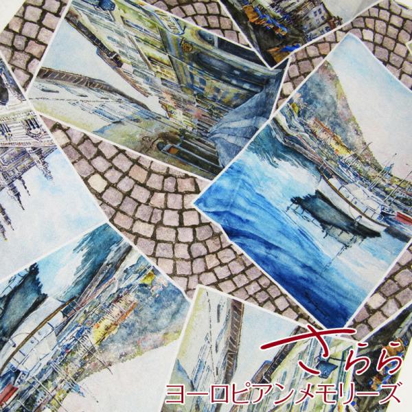 V[`O@fW^vg@SARARA JAPAN@ [sA[YiP50cmj