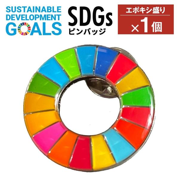 SDGs バッジ 本物 ピンバッジ 2種類 正規品 国連本部限定 丸み型と平ら
