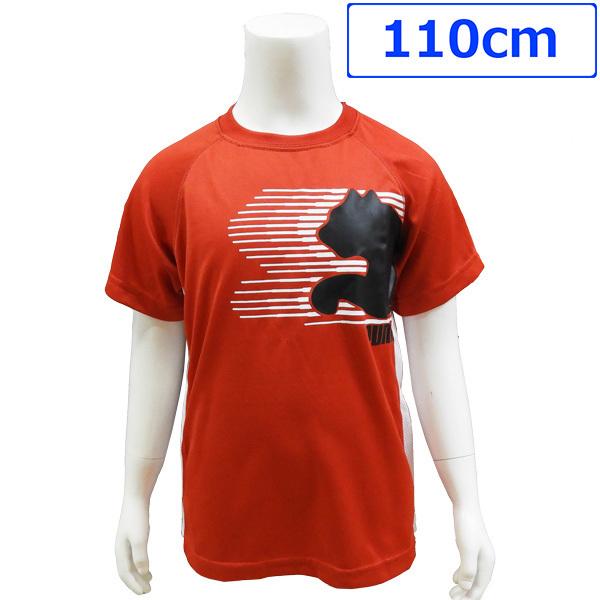  PUMA v[} q  TVc g[jOEGA W[W j̎qp 4 110cm bh