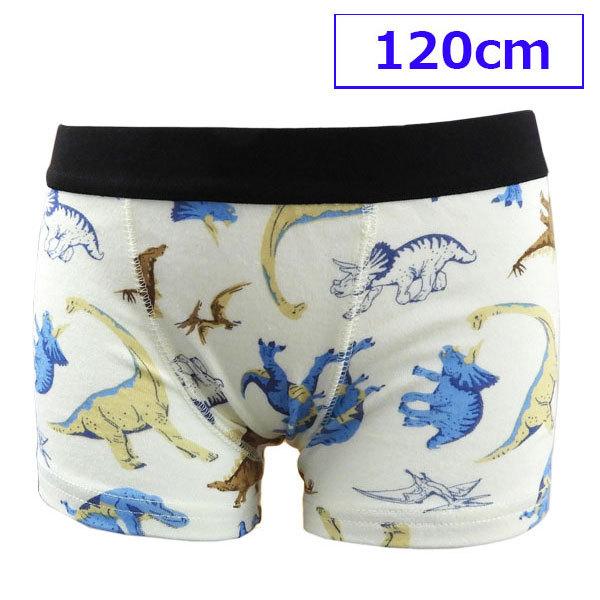  KF LbYtH[ qp u[t pc  {NT[u[t {NT[pc 1 120cm  傤イ