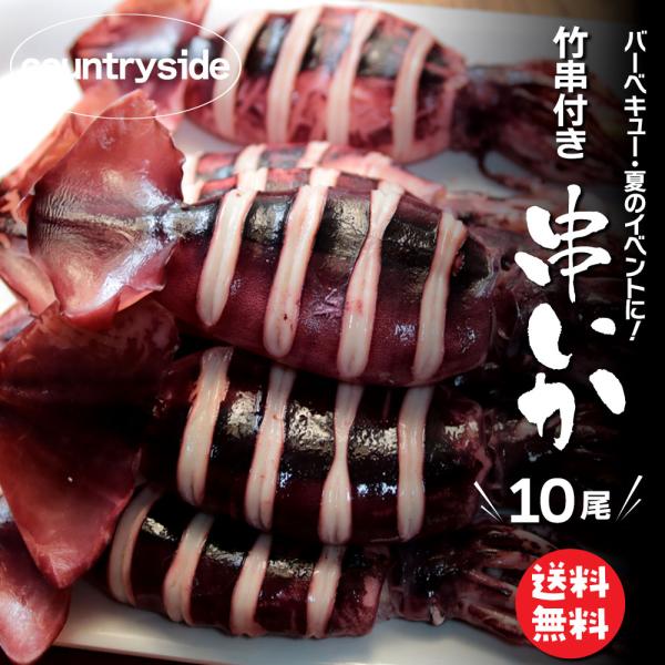 イカ焼き 串イカ いか串 10尾セット いかやき 姿焼き  剣先 BBQ バーベキュー イベント