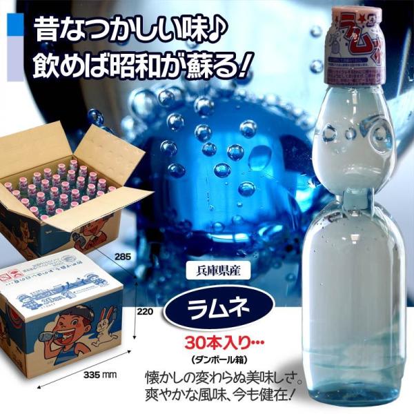 ラムネ 飲料 ペットラムネ ドリンク ペットボトル 230ml 30本入り イベント 日本製 Buyee Buyee 日本の通販商品 オークションの代理入札 代理購入