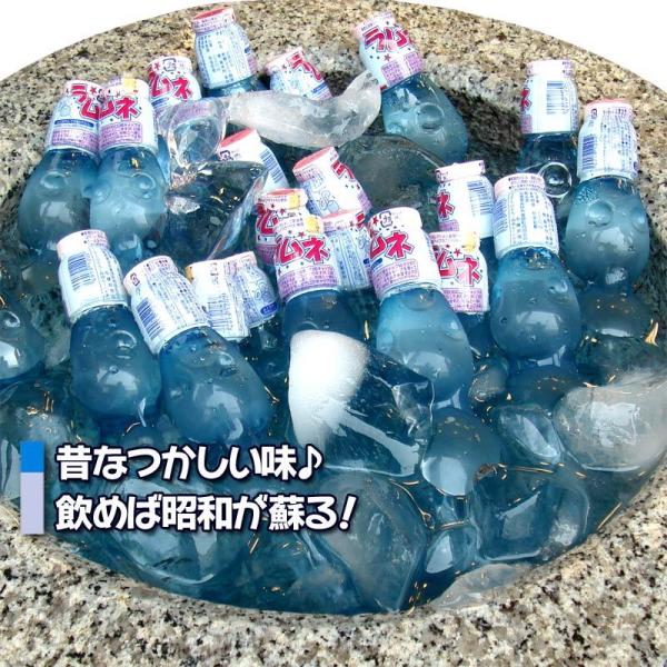 ラムネ 飲料 ペットラムネ ドリンク ペットボトル 230ml 30本入り イベント 日本製 Buyee Servis Zakupok Tretim Licom Buyee Pokupajte Iz Yaponii