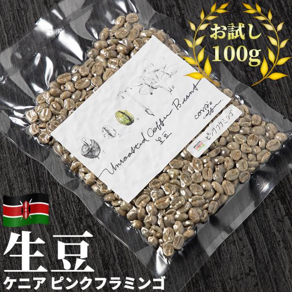 コーヒー 生豆 お試し 100g ケニア ピンクフラミンゴ 珈琲 少量