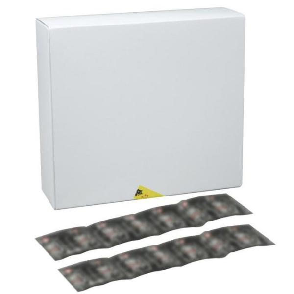  OXXL 144 ؂؃[V[V؂