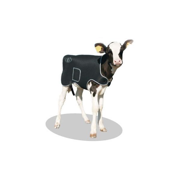 AGジャケットクラシック Sサイズ : cowsnet - 通販 - Yahoo!ショッピング