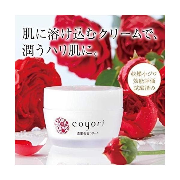 []R ZeN[ 2 b ێN[ q q Ƃ ێ 11햳Y x_[̍ n