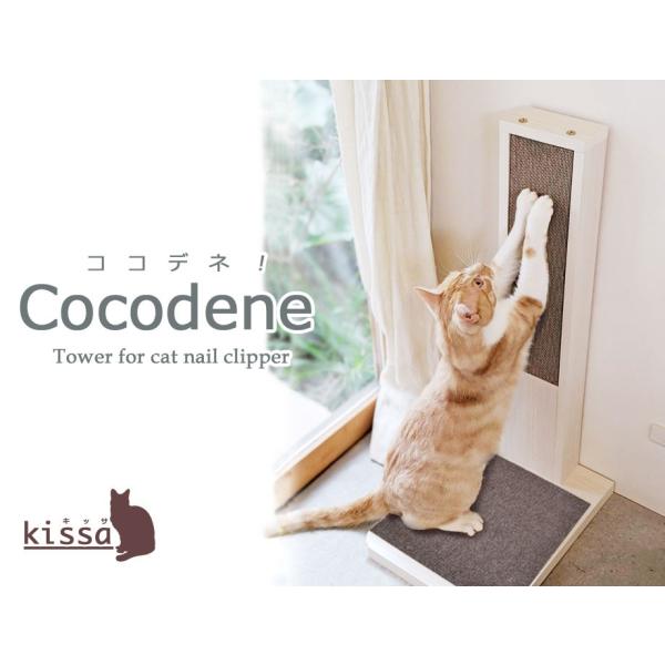 COCODENEiRRflIjL̒܂Ƃ^[