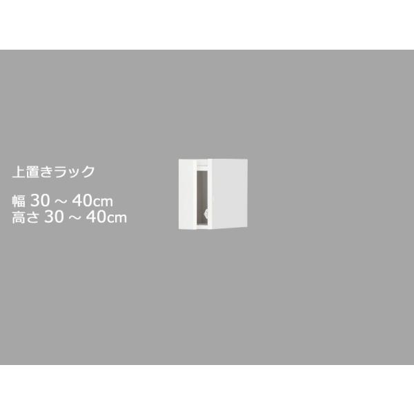 Z~I[_[[h[upubN LASCOiXRj 30`40cm s56.5cm 30`40cm S14F