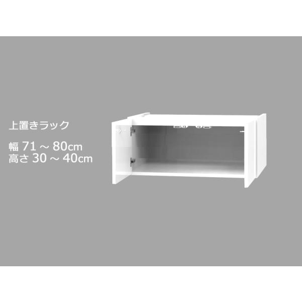 Z~I[_[[h[upubN LASCOiXRj 71`80cm s56.5cm 30`40cm S14F