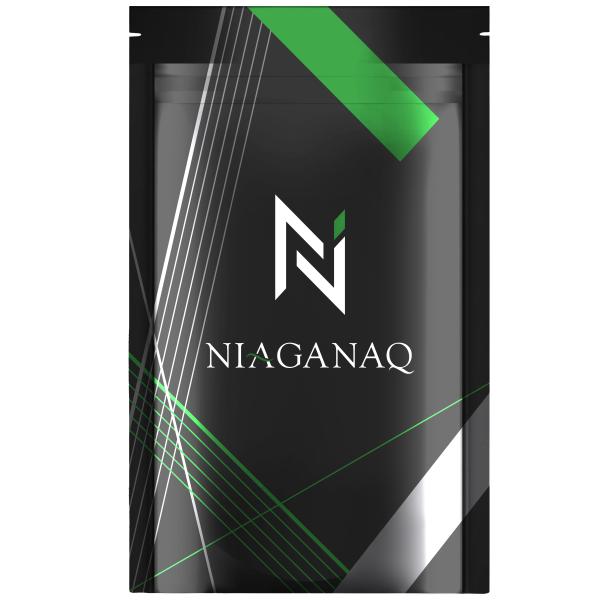 アナゲイン3300mg ノコギリヤシ 亜鉛 イソフラボン サプリメント NIAGANAQ  厳選12成分 GMP認定工場 30日分