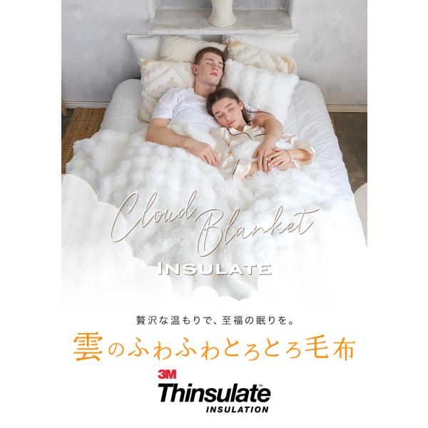シリーズ新商品／ 毛布 とろとろ もこふわ毛布 シンサレート 掛け布団