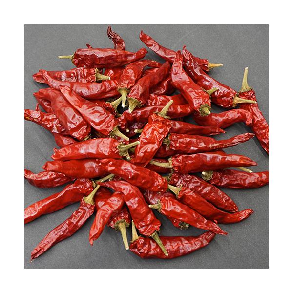 本　数:５０本程度重　量：５０ｇ前後産　地:香川県観音寺産観音寺の圃場で育てました。もちろん無農薬。ゆっくりと秋や冬の風で乾かせました。日光に当てると鮮やかな赤が消えるので、日陰でゆっくり乾燥し風味を閉じ込めました。からくて美味しい唐辛子。...