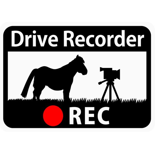 ドライブレコーダー搭載ステッカー「ポニーとビデオカメラ」 (マグネット) s62