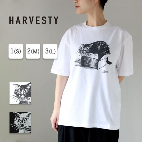 HARVESTY（ハーベスティ） イワサトミキ プリントボックス Tシャツ CAT