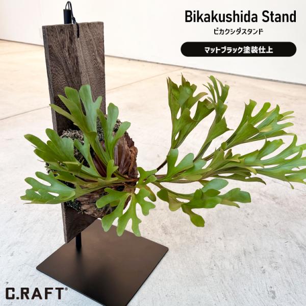 製品仕様ビカクシダスタンドサイズ／寸法 柱：約φ1.3cm H55cm横桟：約φ1.3cm×10cmベースプレート部：25cm×25cm厚み：約3mm重量：約1.7kgカラーアイアン製 マットブラック塗装仕上素材／材質アイアンご注意事項オー...